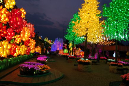 landscape lighting_1