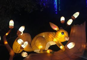 Squirrel_lanterns_1