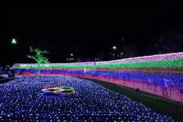 Light_Rose_Garden_Festival_6