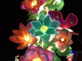 Phoenix_Lantern Festival_1