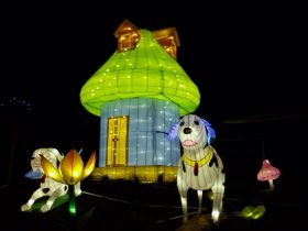 Phoenix_Lantern Festival_2