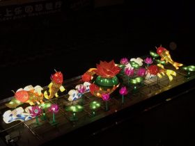 Phoenix_Lantern Festival_5