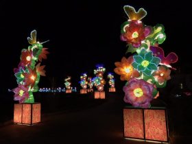 Phoenix_Lantern Festival_8