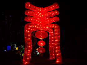 Phoenix_Lantern Festival_9