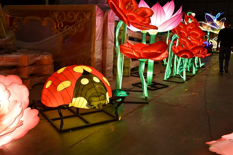 chinese lantern (1)