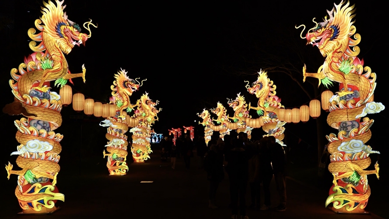 paris lantern festival (1) paris lantern festival (1)